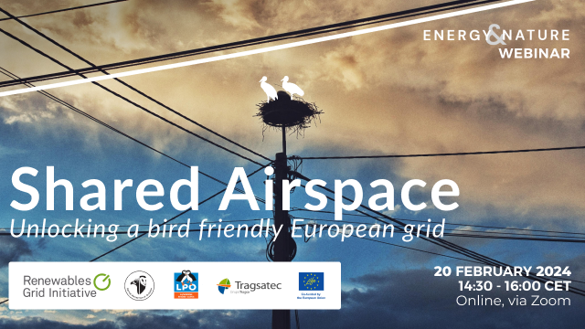 Don't miss the next #EnergyAndNature webinar by @RenewablesGrid!🌱 

Join our #LIFEProjects @SafeLines4Birds & LIFE Danube Free Sky and discover how to ensure a bird-friendly European grid🐦

📅 20 February

✍️europa.eu/!GHVVW4