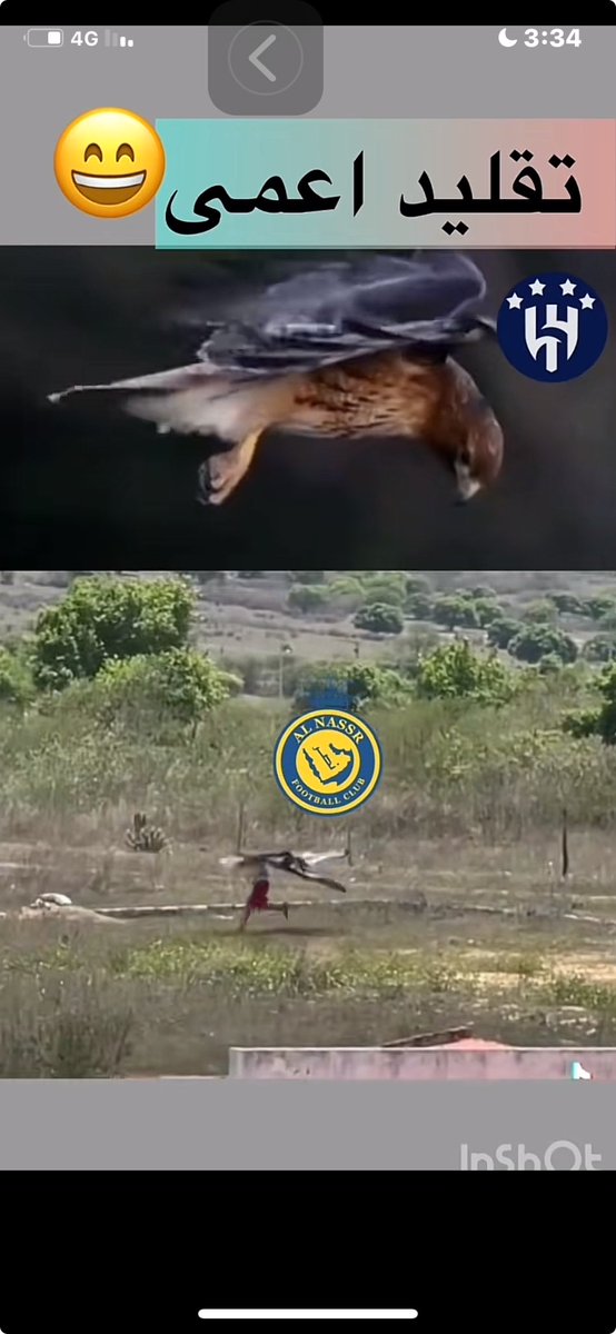يحاول يحلق مثل الهلال مكسور الجناحين غراب الوديات 😂😂