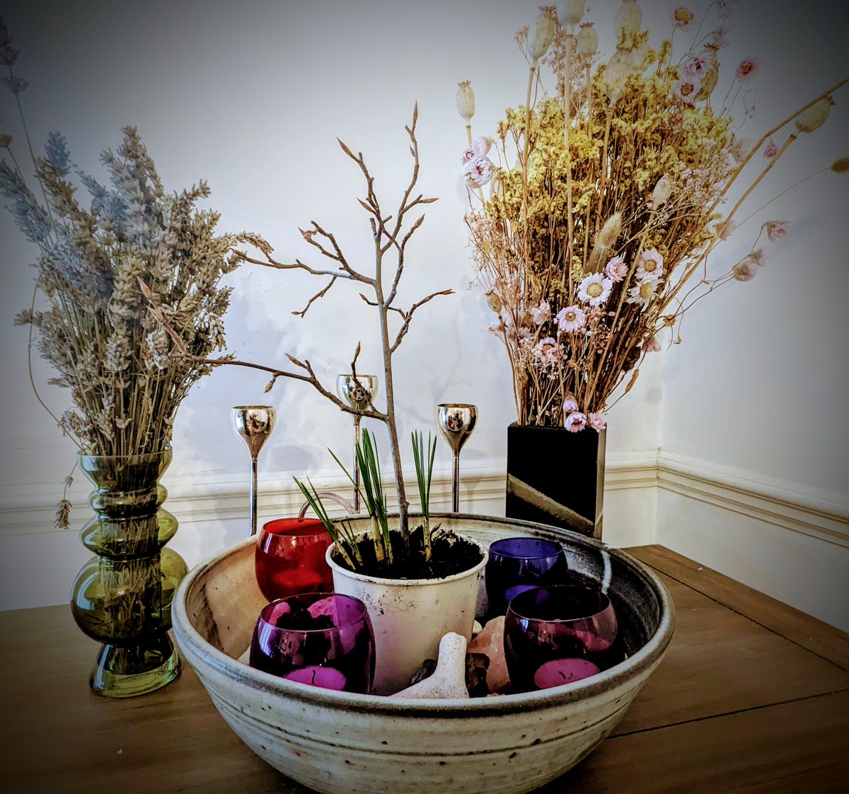 NoMowEd's tweet photo. Spring is not far away #Imbolc https://t.co/R4JYJ5YNEE