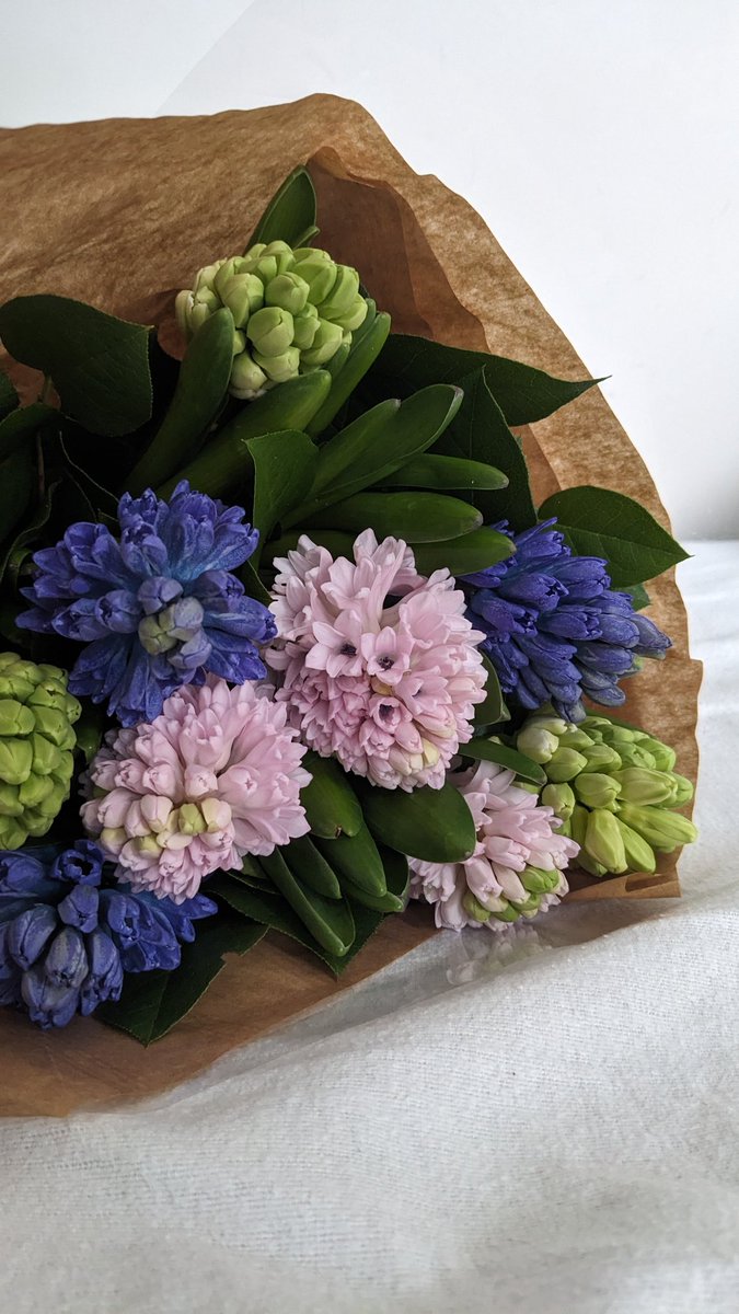 strasspetasse's tweet photo. ce matin mon copain s'est levé en me disant qu'il avait mal au crâne et qu'il allait marcher dehors pour prendre l'air et en fait il est revenu avec un bouquet de fleurs....... https://t.co/ZJY79SGOXu