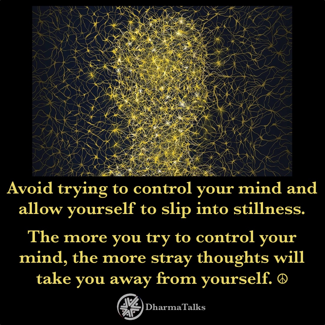 DharmaTalks's tweet photo. Avoid trying to control your mind and allow yourself to slip into stillness. The more you try to control your mind, the more stray thoughts will take you away from yourself. ☮ #contemplativeliving #contemplativelife https://t.co/eWXyCSrmEU