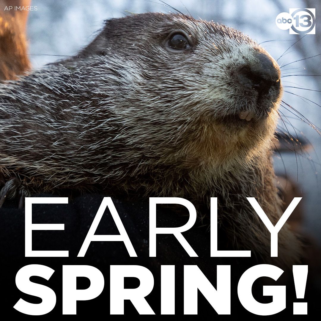 abc13houston's tweet photo. Punxsutawney Phil has made his prediction for 2024 Groundhog Day. The honorary groundhog did not see his shadow Friday morning, predicting that there will be an early spring!
Read more: https://t.co/2vzWhxNWIl https://t.co/uTugexP7nG