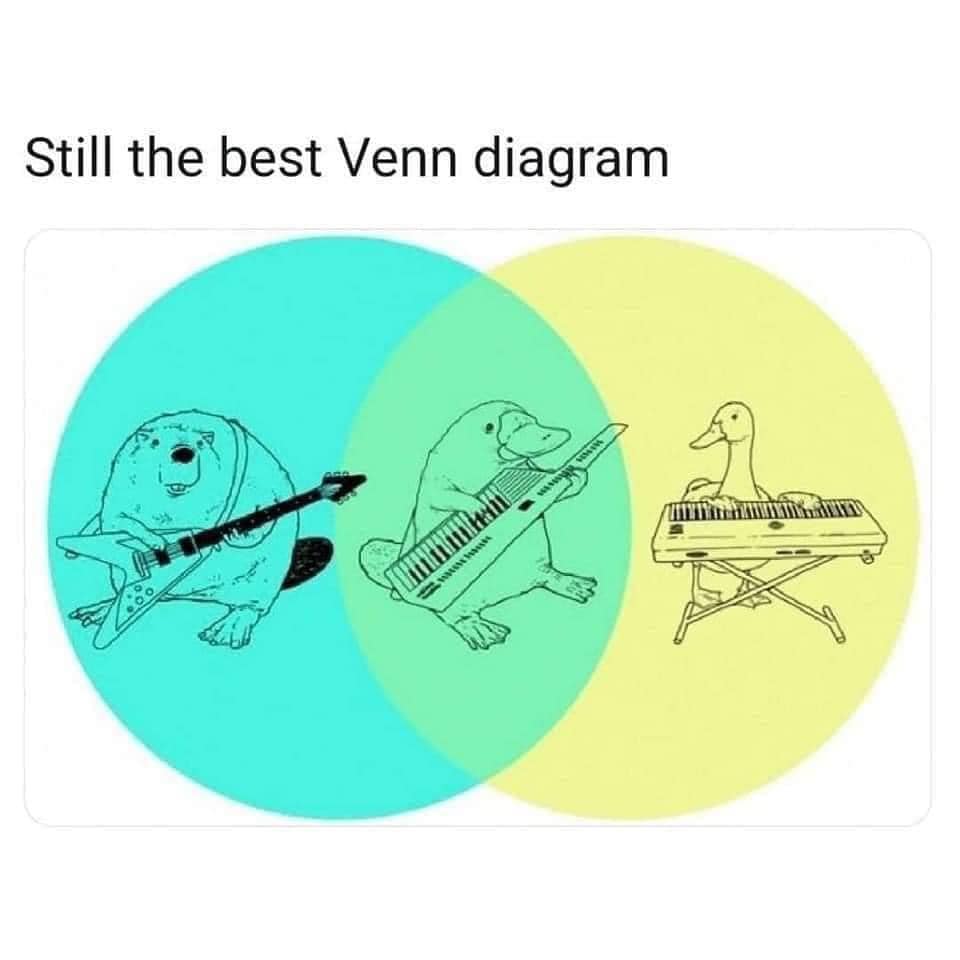 ccannonauthor's tweet image. #venndiagram #funny #lol #fridaymorning #fridayfunny #fridayfunnies #keytar #guitar #keyboard #platypus #mademesmile