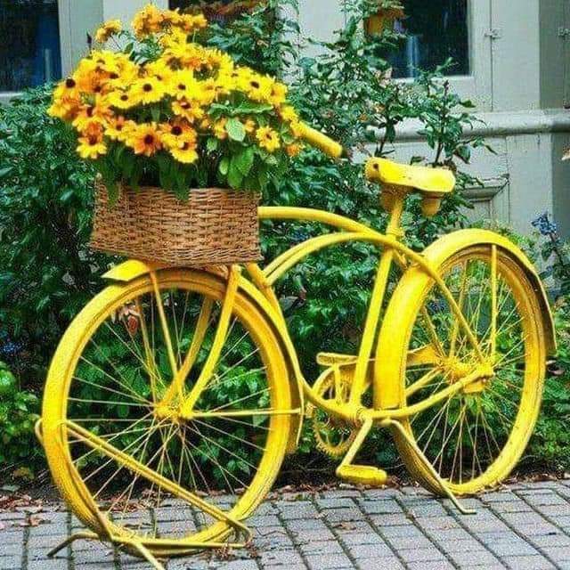 تقبّل فكرة أنّ ليس كل ما يلمع ذهباً، وليس كل من عرفت رفيقاً، تقبّل إختفاء الوهج وظهور الجانب المظلم، لا تحاول إعادة البريق لمن بهُتَته المواقف، ولا تسعَ لإصلاح من أفسدتهُ أعماله وسائتكَ أعذاره ،ليس كل وُد إنقطعَ يستحق أن يوصَل ولا كل من لم يُقدّر إهتمامك يستحق أن يبقى في حياتك