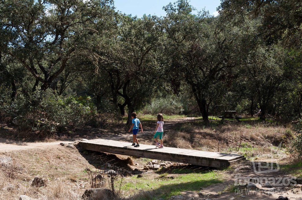 Fotonazos's tweet photo. Explora la historia y naturaleza en armonía en la Dehesa Boyal de San Sebastián de los Reyes. 🌿 A menos de 20 km de Madrid, este orgullo verde te espera. #DehesaBoyal #HistoriaNatural https://t.co/pdbwLVtL1y https://t.co/X85KCxTiJl