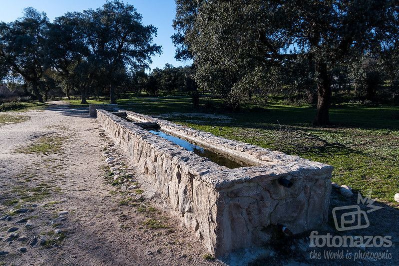 Fotonazos's tweet photo. Explora la historia y naturaleza en armonía en la Dehesa Boyal de San Sebastián de los Reyes. 🌿 A menos de 20 km de Madrid, este orgullo verde te espera. #DehesaBoyal #HistoriaNatural https://t.co/pdbwLVtL1y https://t.co/X85KCxTiJl