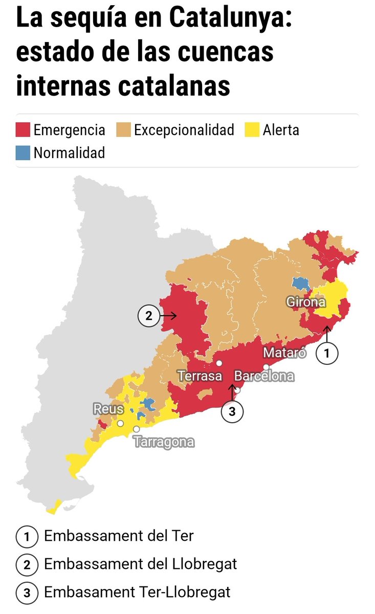 Ezio CostaCordella tweet media