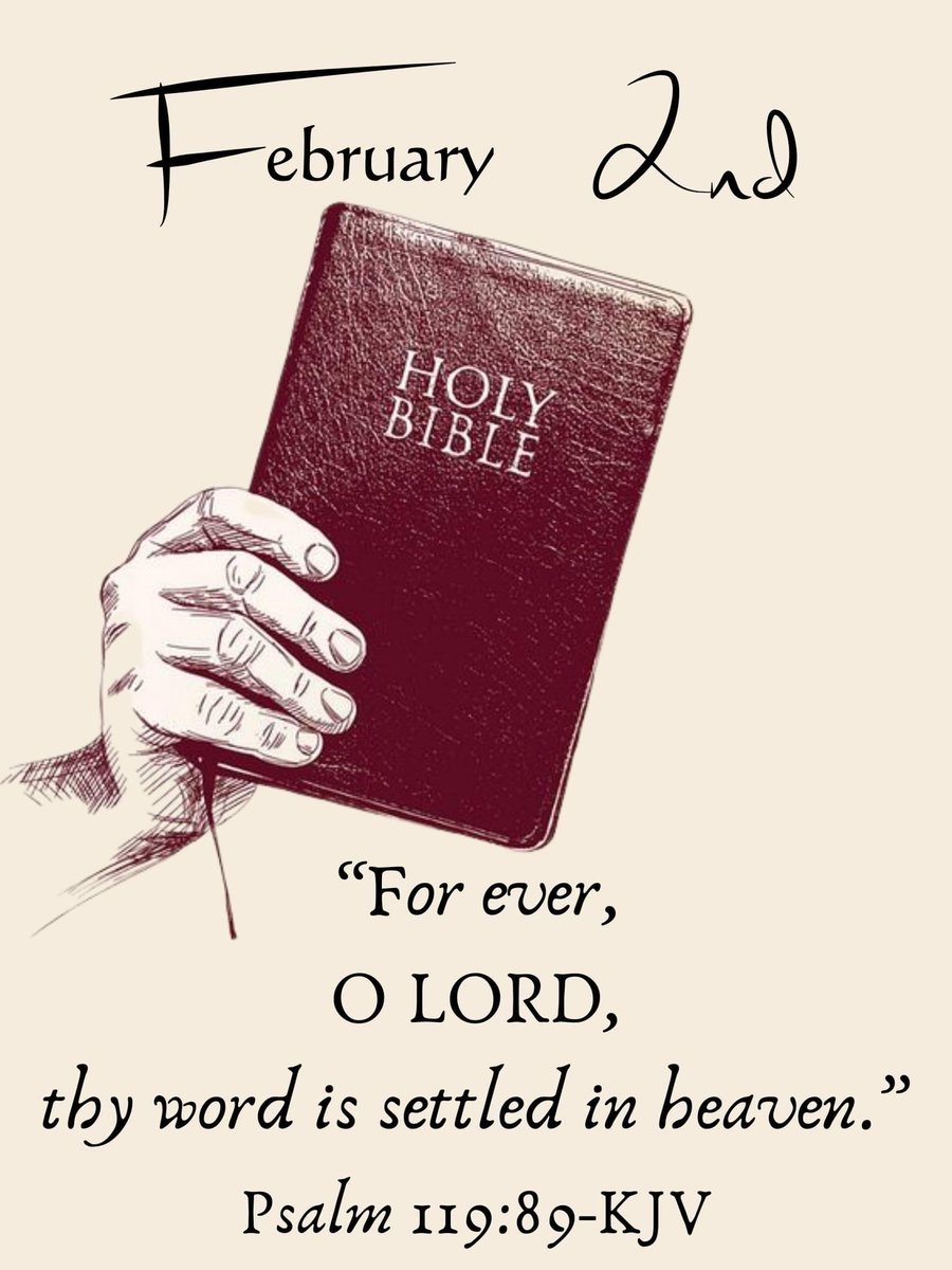 Stephen Gerard tweet media