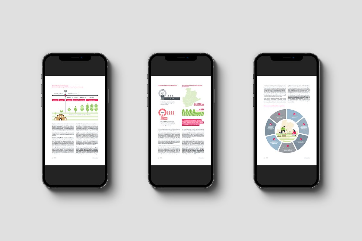 🌾Vols impulsar una nova generació d’empresaris agrícoles i ramaders al teu municipi? 👩‍🌾👨‍🌾Descobreix la guia #NovaPagesia de la <a href="/diba/">Diputació de Barcelona</a>, amb eines i recursos per facilitar l’accés a la terra i la formació. 

Descarrega-la gratis aquí 👉 diba.cat/web/bcn-smart-…

#BancsdeTerres
