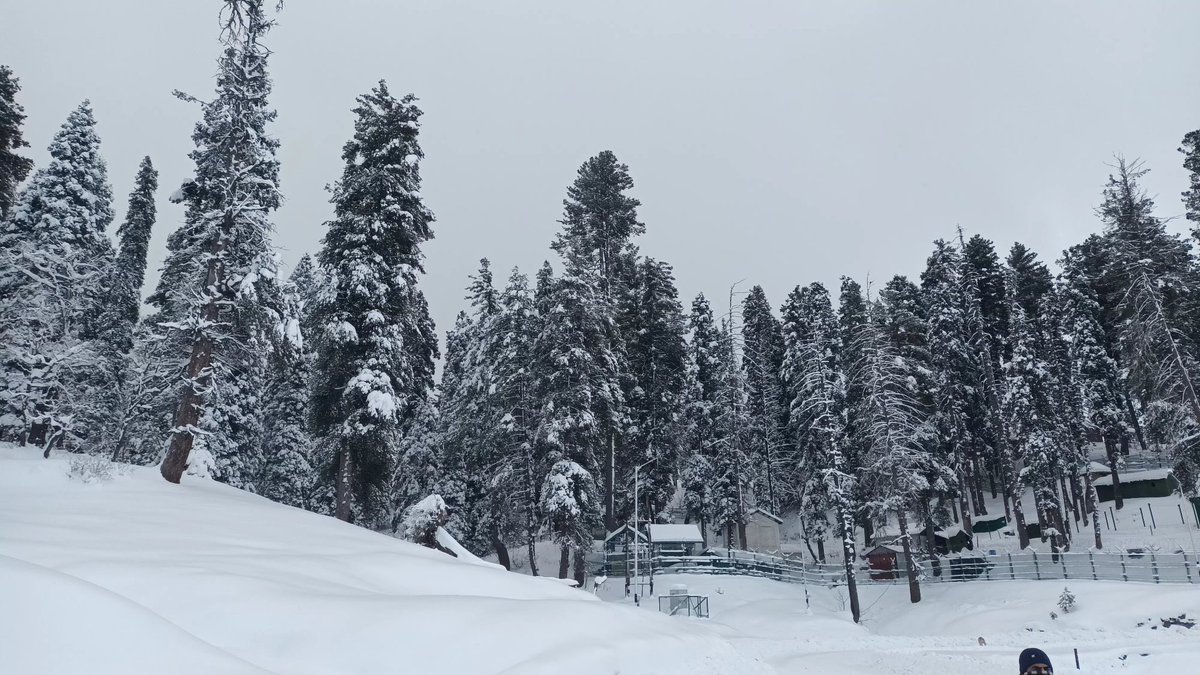 Ashiq97's tweet photo. #gulmarg #gulmarggondala #gulmargkongdori #jktourism #morningclicks #touristdestination #famousskiresort #gdagulmarg #cabelcarcorepration @AnNaqvi_Bukhari https://t.co/oMLbLTrWsh
