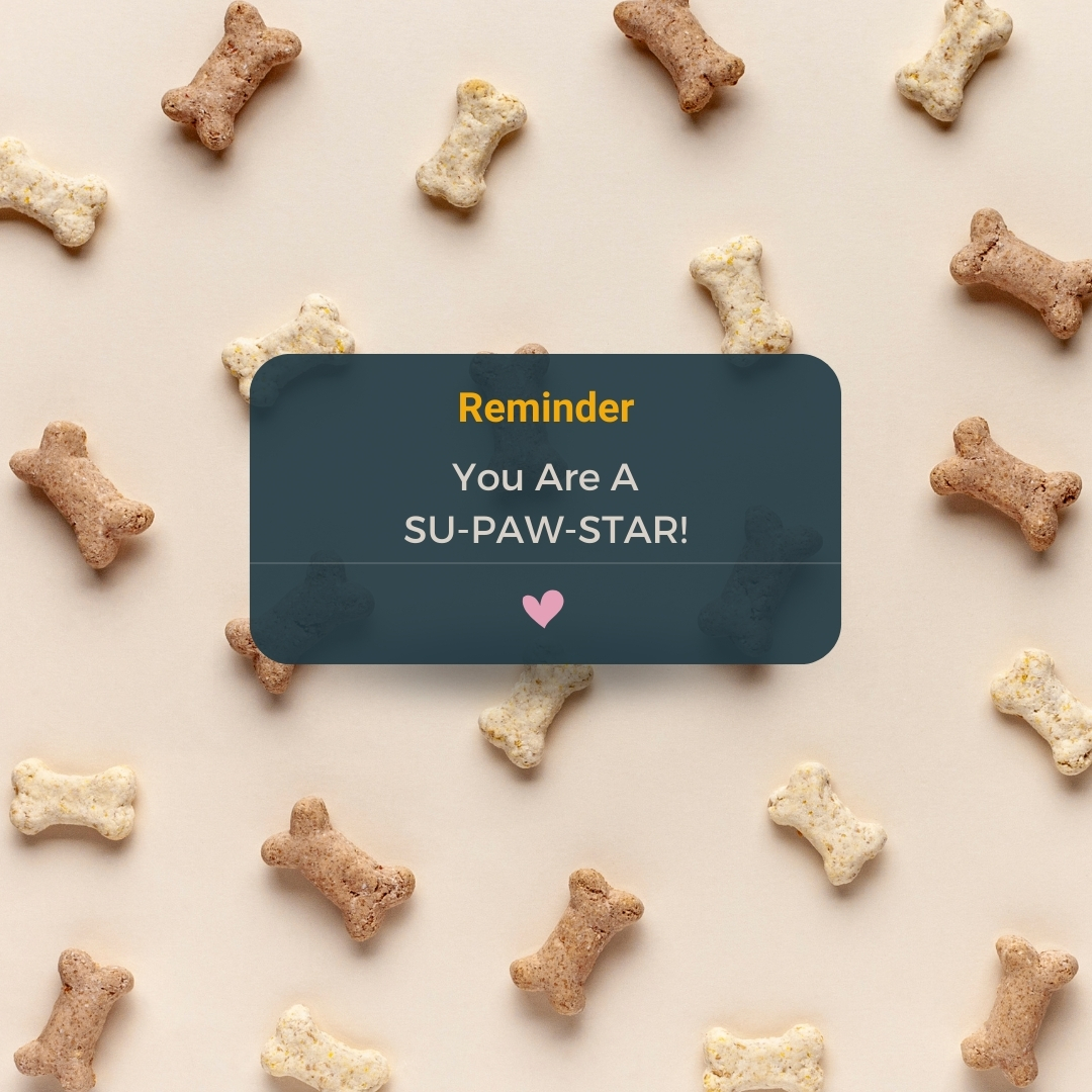 Boonuuofficial's tweet photo. Boonuu's gentle reminder: Let's celebrate the love and encouragement our pets bring us every day. π
.
.
.
Share your heartwarming stories of how your furry friends boost your confidence! ππΆπ»π±
Visit - https://t.co/yQ7SIskYJu
#appcomingsoon #boonuu #petcarejoy #petcommunity https://t.co/cahNMcCT1r