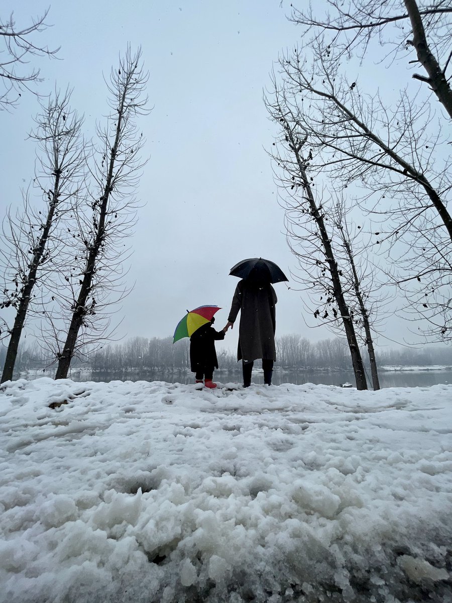 SyedAnwarRazvi1's tweet photo. Frozen
Kashmir https://t.co/EGpqU7yBfd