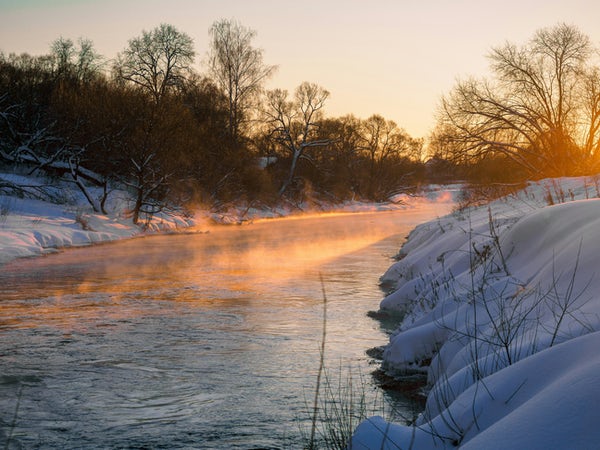 Mr. Punxsutawney Phil has called it - it's time for winter to defrost. Looks like spring is right around the corner❄️🌷 #tourstaffordva #groundhogday #StaffordVA #SnowDay