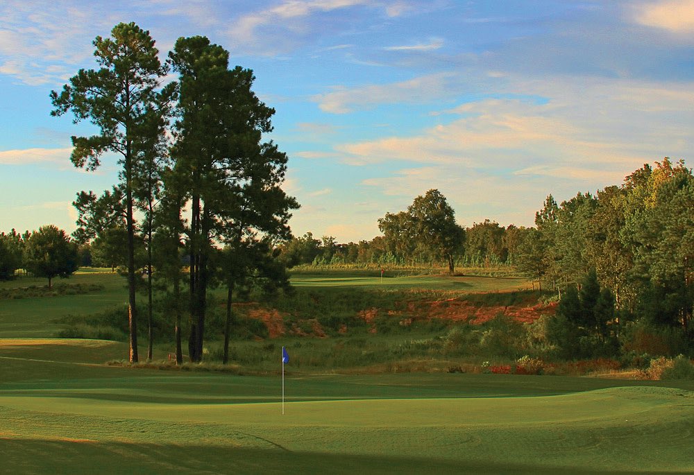 Love Golf Design tweet media