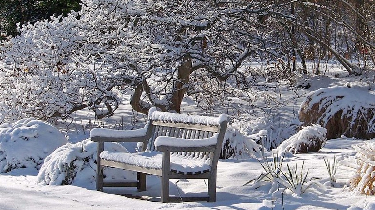 cfleach1's tweet image. For whom He foreknew, He also predestined to be conformed to the image of His Son, that He might be the firstborn among many brethren.  (Romans 8:29 NKJV)