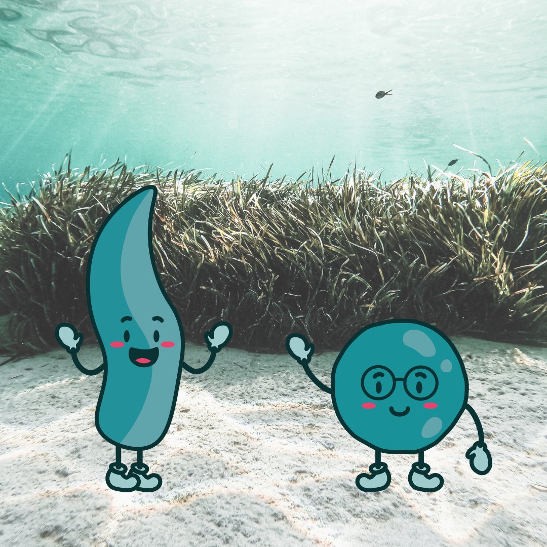 LOCALITY_Algae's tweet photo. Have you met our newest team members yet - Mick & Mack?
🔍 Mick is a #microalga.
🌿 Mack is a #macroalga, or simply… #seaweed.
Mick & Mack will keep us company through the LOCALITY project in creating #circular products from the #algae #valuechain!
#LOCALITYAlgae #Algae https://t.co/4nnUumzjc9