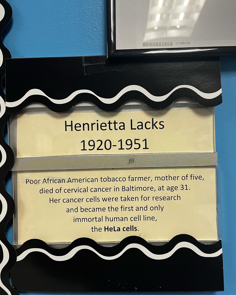 CIOBCitywide's tweet photo. February 1st marks Henrietta Lacks Day, celebrating the remarkable contributions she made to medicine. The College Biology class at @GaynorMcCownELS is paying tribute with a special memorial outside of room 403. 🧬🌟 #HenriettaLacksDay #MedicalPioneer #ScienceTribute @NYCSchools https://t.co/03EeoJjqoB