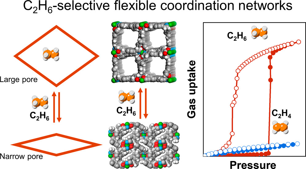 Diamondoid nets - a gift that keeps on giving since 1993. Inverse C2H6/C2H4 selectivity reported by @zgroupUL + collaborators @KitagawaGroup🇯🇵 @brianbspace🇺🇸+ 'Q', Qingyuan Yang🇨🇳 in @J_A_C_S pubs.acs.org/doi/full/10.10… 🙏🏻 @scienceirel for seeding our work on developing 'X-ligands'