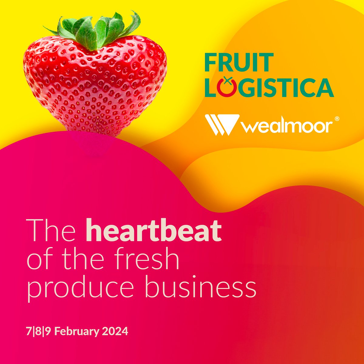Wealmoor tweet media