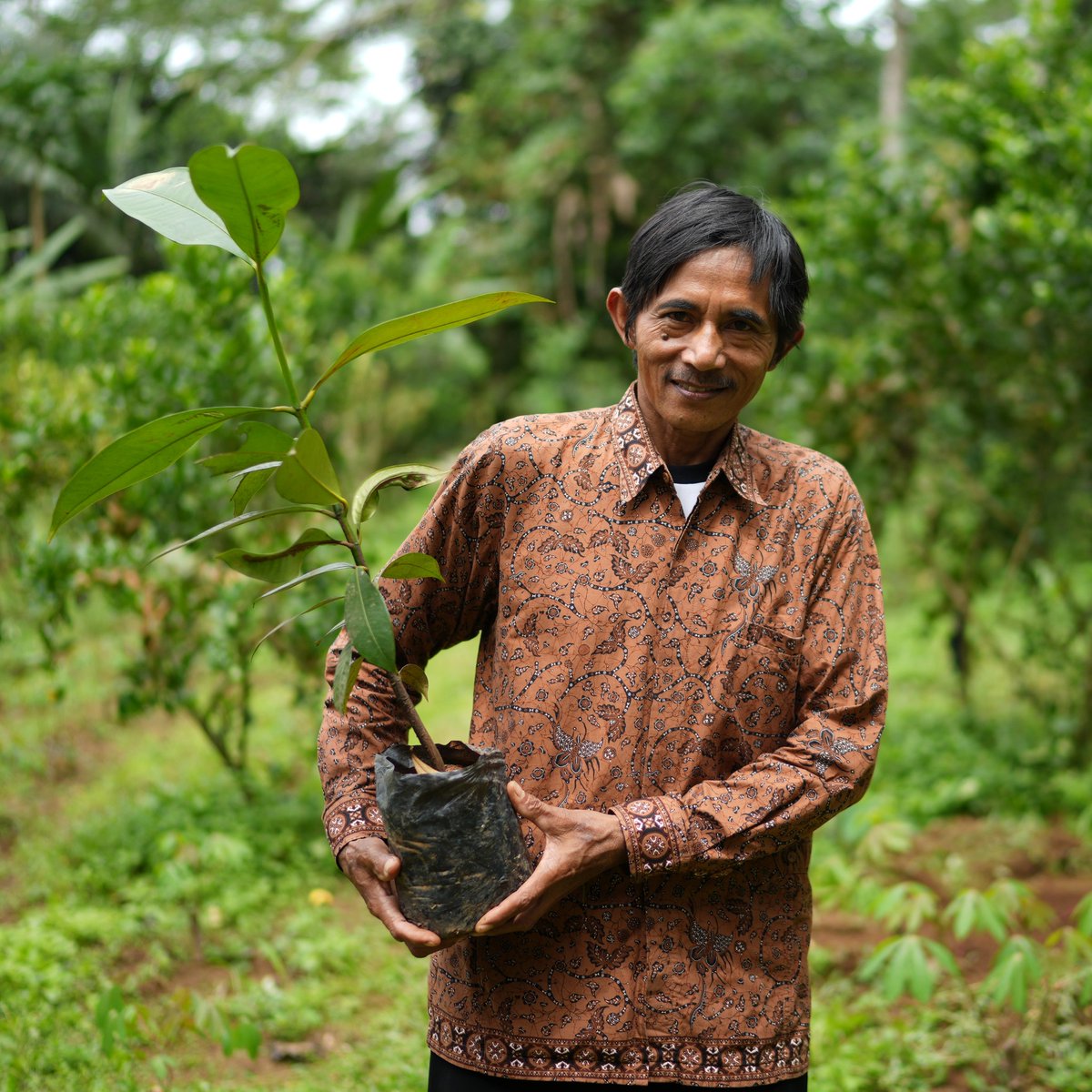 IFAD's tweet image. We must invest in sustainable farming solutions driven by the world’s biggest group of local food producers: small-scale farmers.

🔃 RT if you agree!