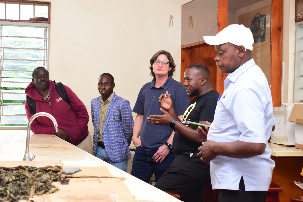 Kabale University tweet media