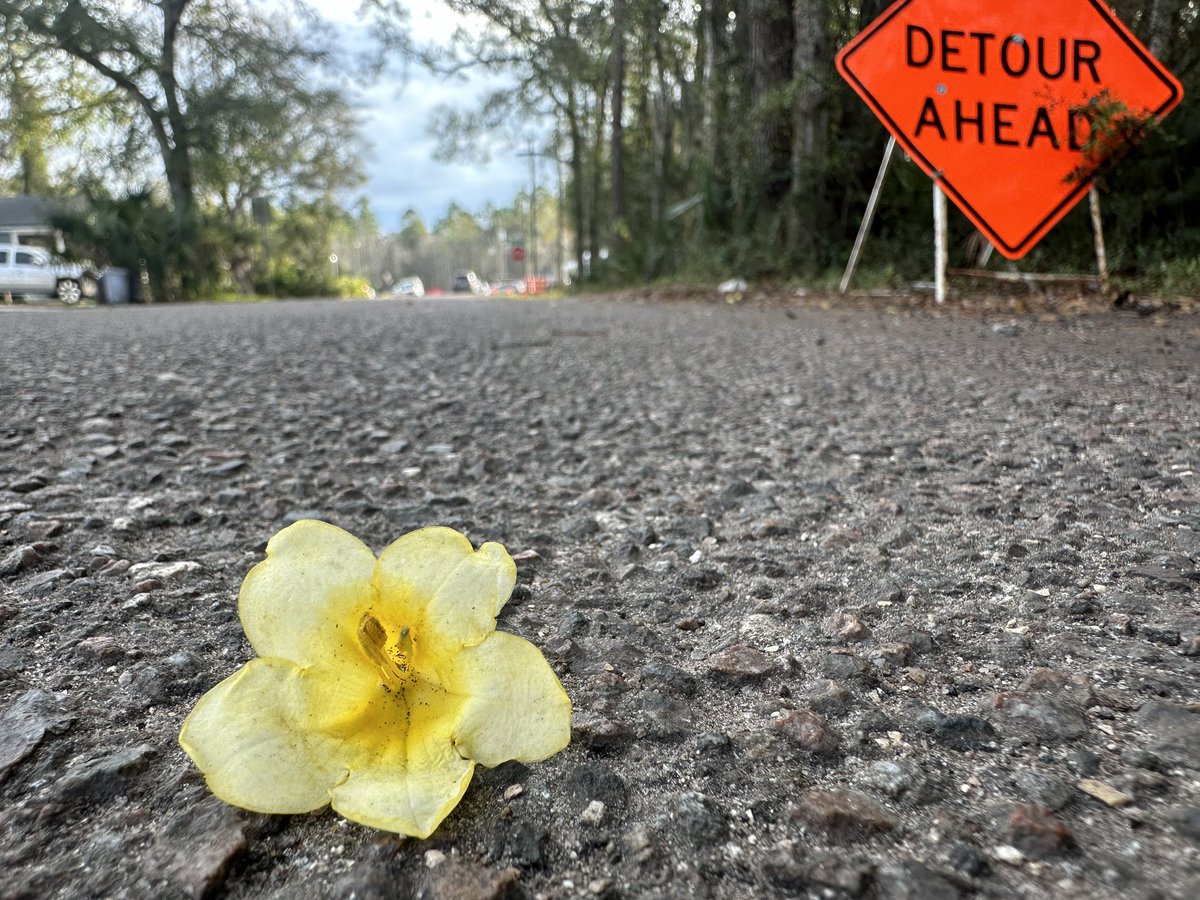 Bobbydebag (@bobbydebag) on Twitter photo 