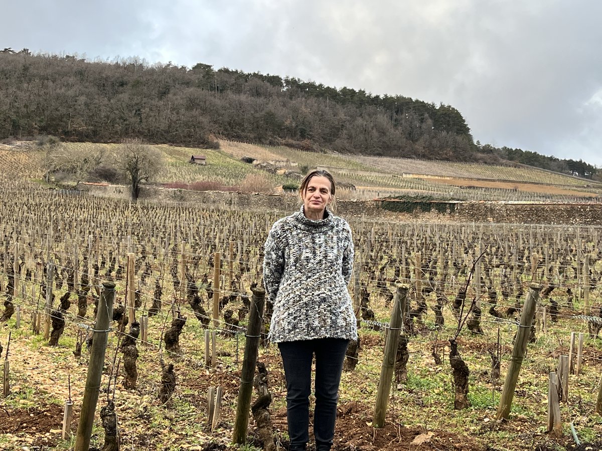 Sylvie Esmonin in her back garden - Clos St Jacques, a Grand Cru in all but name. Continuing my research for the second/revised edition of 'Côte d'Or' - to be published by <a href="/academie_du/">Académie du Vin Library</a> next year. <a href="/MathiaudBIVB/">Cécile Mathiaud BIVB</a> <a href="/BourgogneWines/">Bourgogne Wines</a> <a href="/VinsdeBourgogne/">Vins de Bourgogne</a> <a href="/cwl_wine/">Classic Wine Library</a>