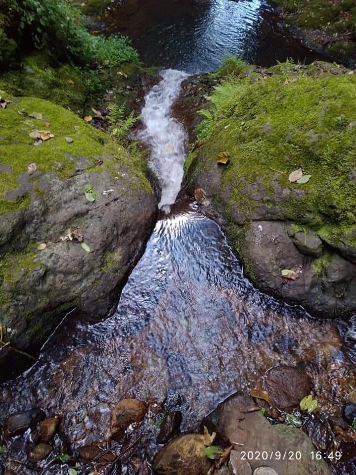 DiscoverMeru's tweet image. Did you know #TheWorldWetlandsDay is celebrated on 2 February, raises global awareness about the importance of wetlands for human prosperity and a healthy planet
discovermeru.co.ke

Karibu we explore and discover beautiful sceneries in Meru County.

#tembeameru #Magicalmeru