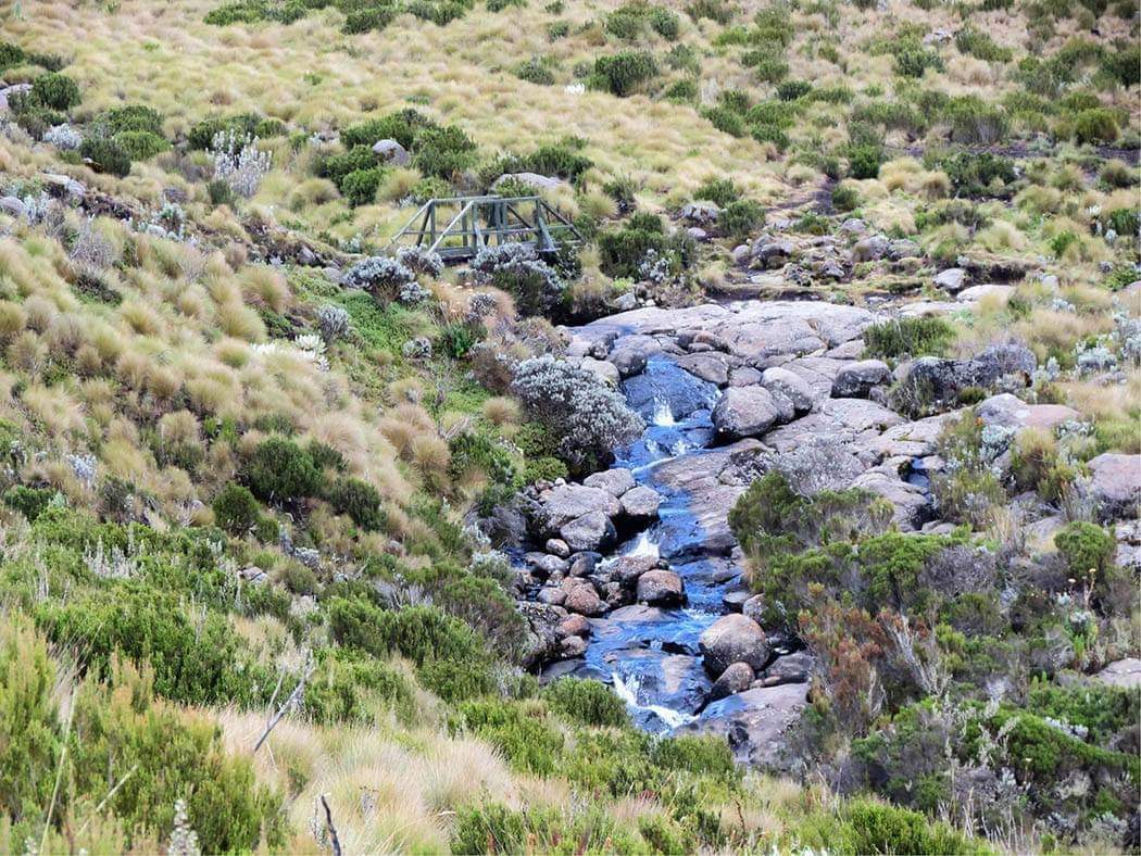DiscoverMeru's tweet image. Did you know #TheWorldWetlandsDay is celebrated on 2 February, raises global awareness about the importance of wetlands for human prosperity and a healthy planet
discovermeru.co.ke

Karibu we explore and discover beautiful sceneries in Meru County.

#tembeameru #Magicalmeru