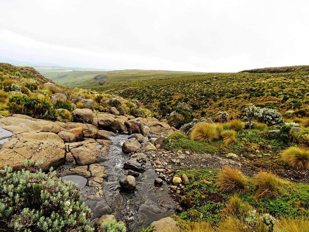 DiscoverMeru's tweet image. Did you know #TheWorldWetlandsDay is celebrated on 2 February, raises global awareness about the importance of wetlands for human prosperity and a healthy planet
discovermeru.co.ke

Karibu we explore and discover beautiful sceneries in Meru County.

#tembeameru #Magicalmeru