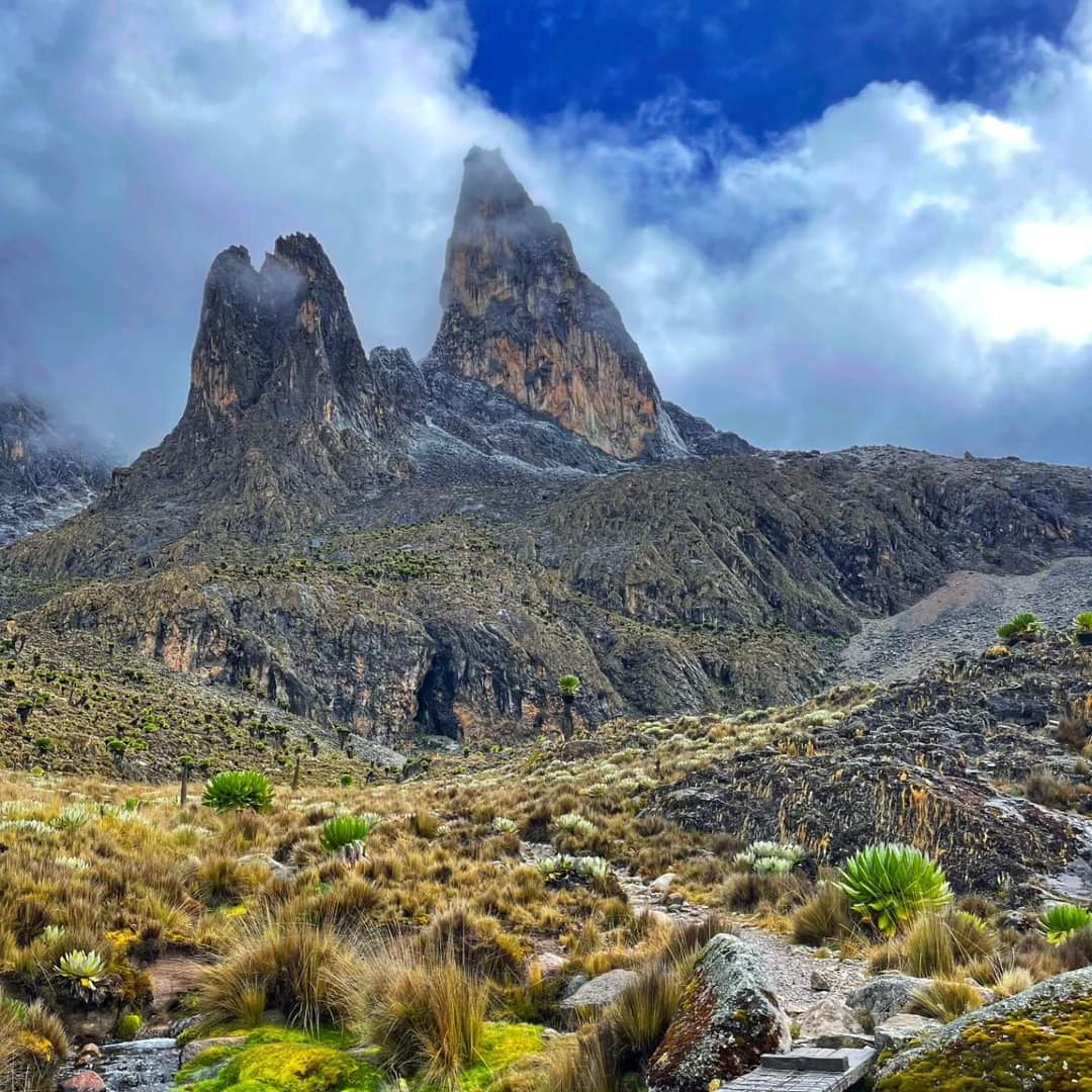 DiscoverMeru's tweet image. Did you know #TheWorldWetlandsDay is celebrated on 2 February, raises global awareness about the importance of wetlands for human prosperity and a healthy planet
discovermeru.co.ke

Karibu we explore and discover beautiful sceneries in Meru County.

#tembeameru #Magicalmeru