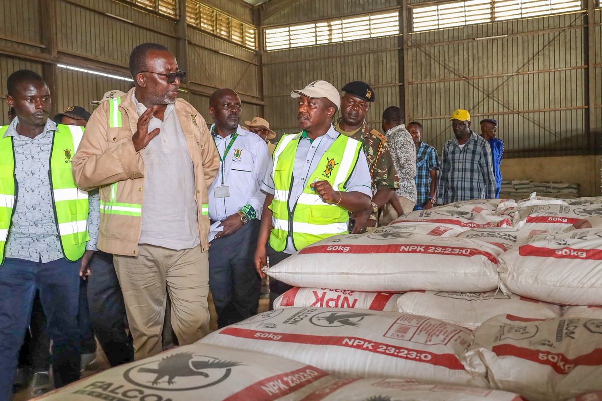 mithika_Linturi's tweet photo. I inspected NCPB stores, ensuring ample subsidized fertilizer for the upcoming long rains season. To boost yields, we've partnered with Kenya Seed Company to provide good quality seeds for our hardworking farmers. Together, we're cultivating success! #MeruFieldDay #MkulimaKwanza https://t.co/0YKv8VMvzd