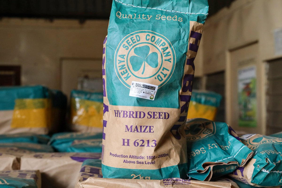 mithika_Linturi's tweet photo. I inspected NCPB stores, ensuring ample subsidized fertilizer for the upcoming long rains season. To boost yields, we've partnered with Kenya Seed Company to provide good quality seeds for our hardworking farmers. Together, we're cultivating success! #MeruFieldDay #MkulimaKwanza https://t.co/0YKv8VMvzd