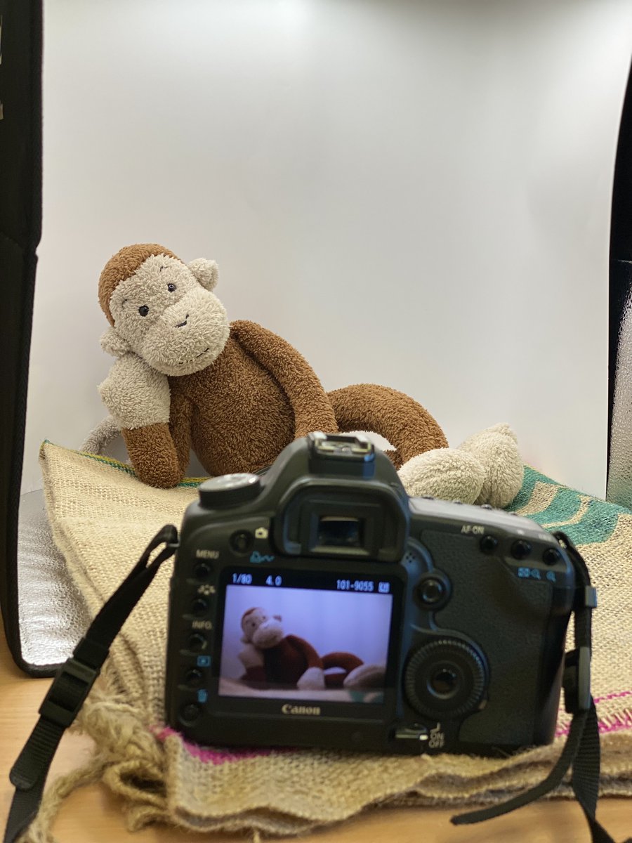 Behind the scenes the life of our local celebrity , Photo day at the Roaster 🙈