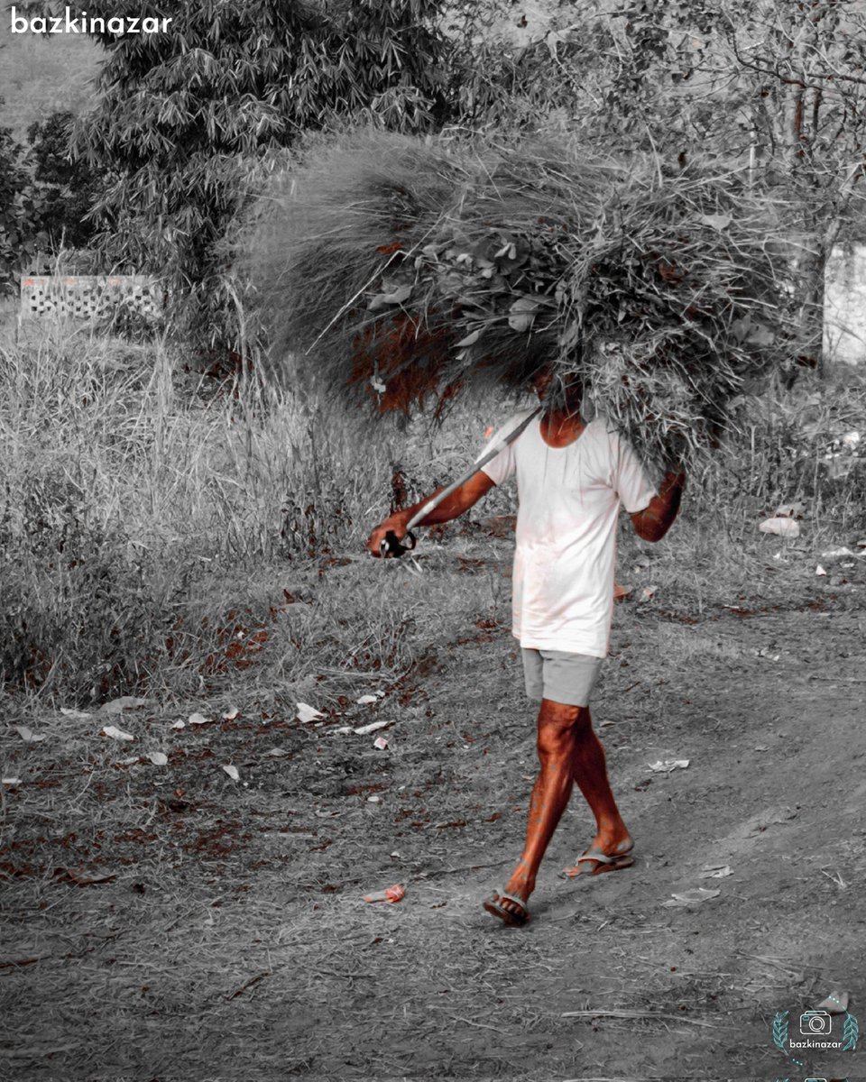 bazkinazar's tweet photo. आम्ही शेतकरी ⚒️🚜 नांगरासकट 😎

#bazkinazar #ArtistOnTwitter #photooftheday #photographer #photography #portrait #PortraitThursday #fridaymorning #FridayFeeling #FridayMotivation https://t.co/WpnL207q7i