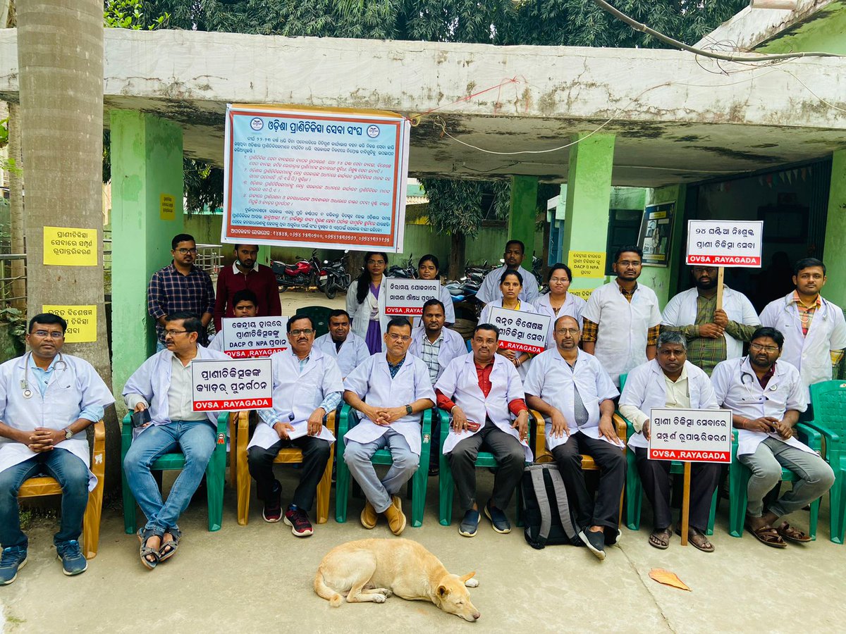 Mass Leave of Veterinarians of Rayagada district reached 16th Day
We request honble <a href="/CMO_Odisha/">CMO Odisha</a>  to fullfill the demands on Vets of state
#OdishaVetsOnProtest