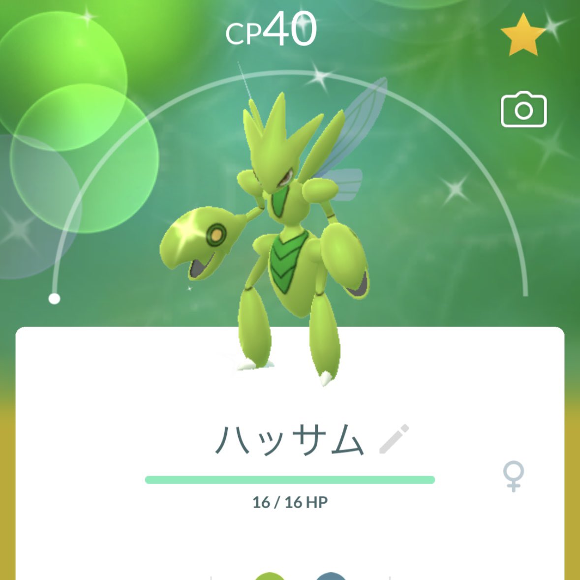 ハッサム 色 違い
