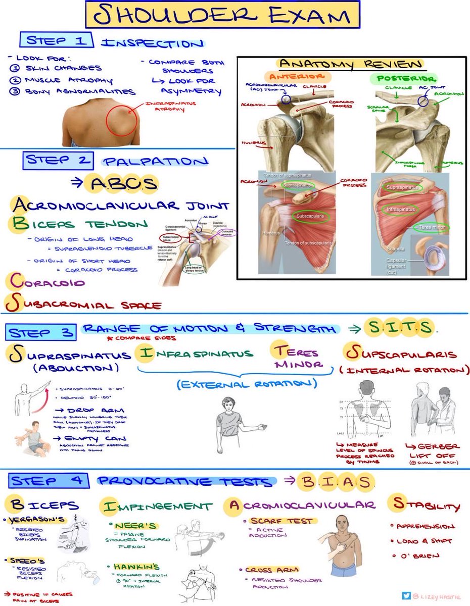 OGdukeneurosurg's tweet photo. Shoulder exam ⁦@LizzieHasty⁩ https://t.co/fbwHfYzgrJ