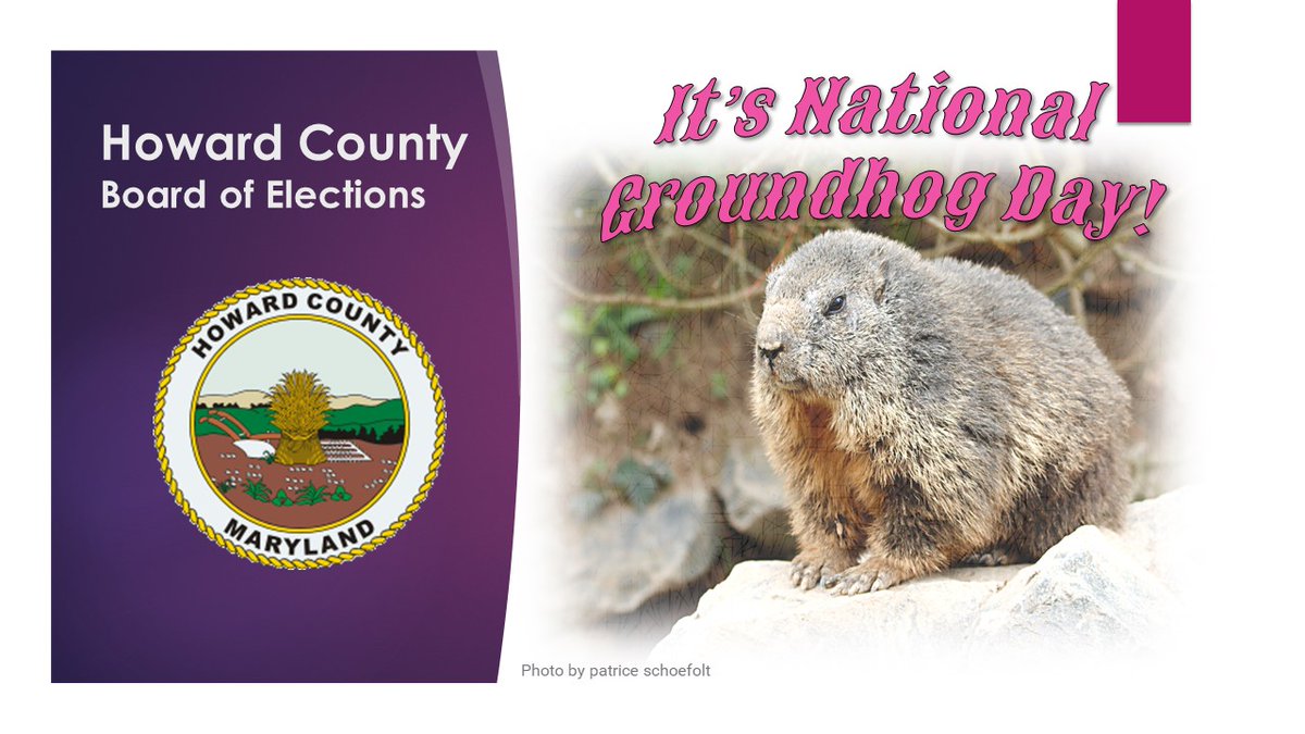 It's National Groundhog Day, so this bears repeating! We are recruiting motivated, dedicated, and civic-minded individuals to serve as Election Judges. This is a paid position. Register here: bit.ly/47YkpeT #MDVotes #MDVotes2024