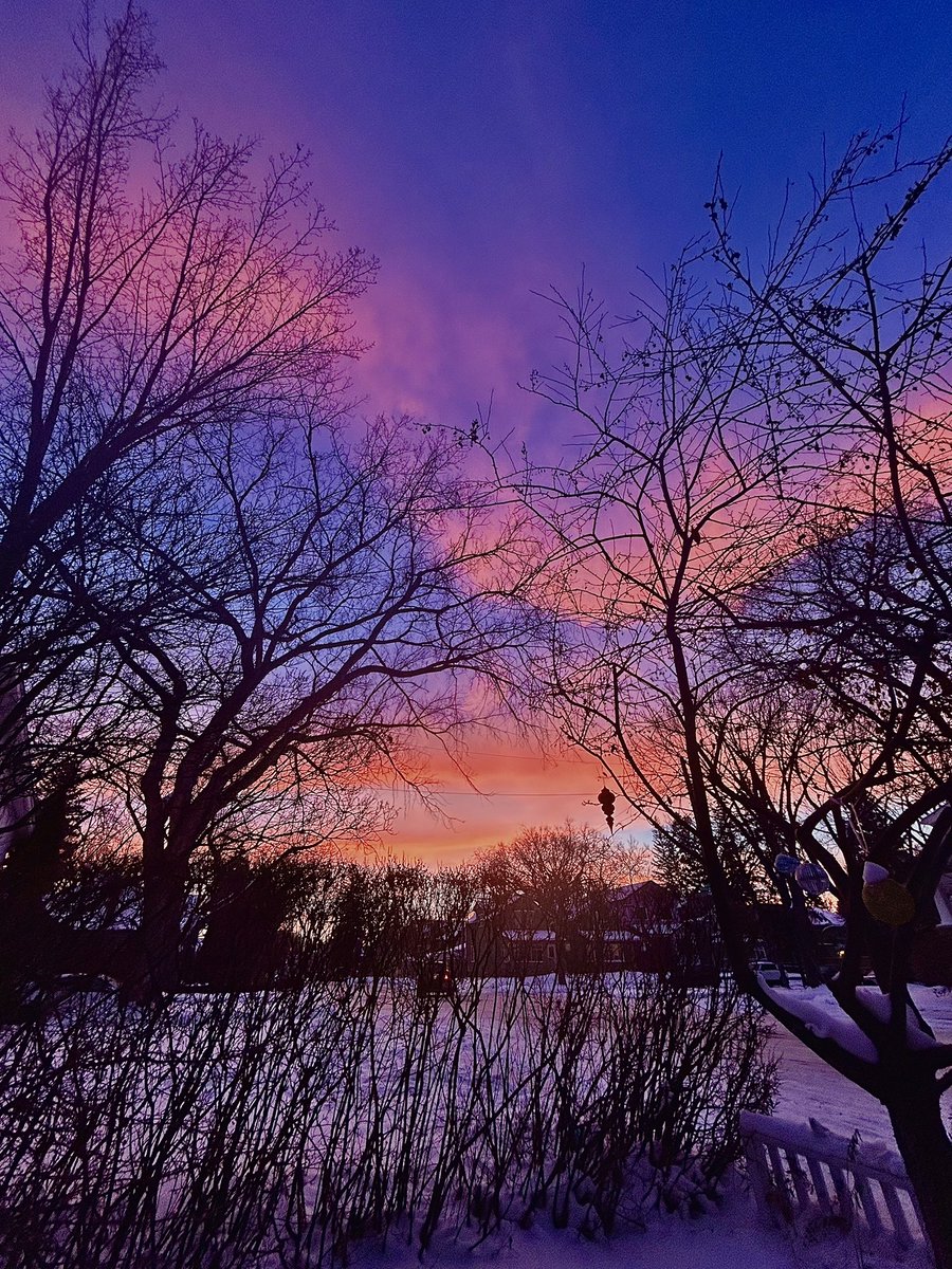 April Sora tweet media