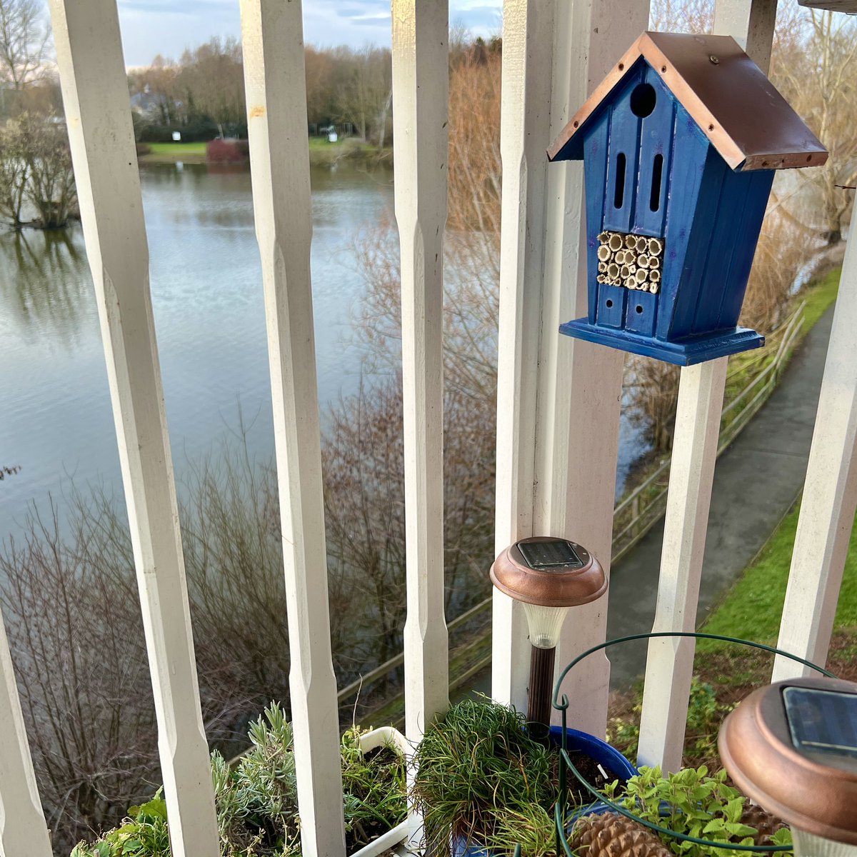 Y’day was <a href="/MindCharity/">Mind</a> &amp; <a href="/Rethink_/">Rethink Mental Illness</a> #TimeToTalkDay in part’ship w/@COOPuk, we gave an extra lunch hr for staff to do something good for #mentalhealth. As nature is so beneficial for #wellbeing I #upcycled a discarded #bughotel, using #invasive Giant Hogweed stems for #SolitaryBees