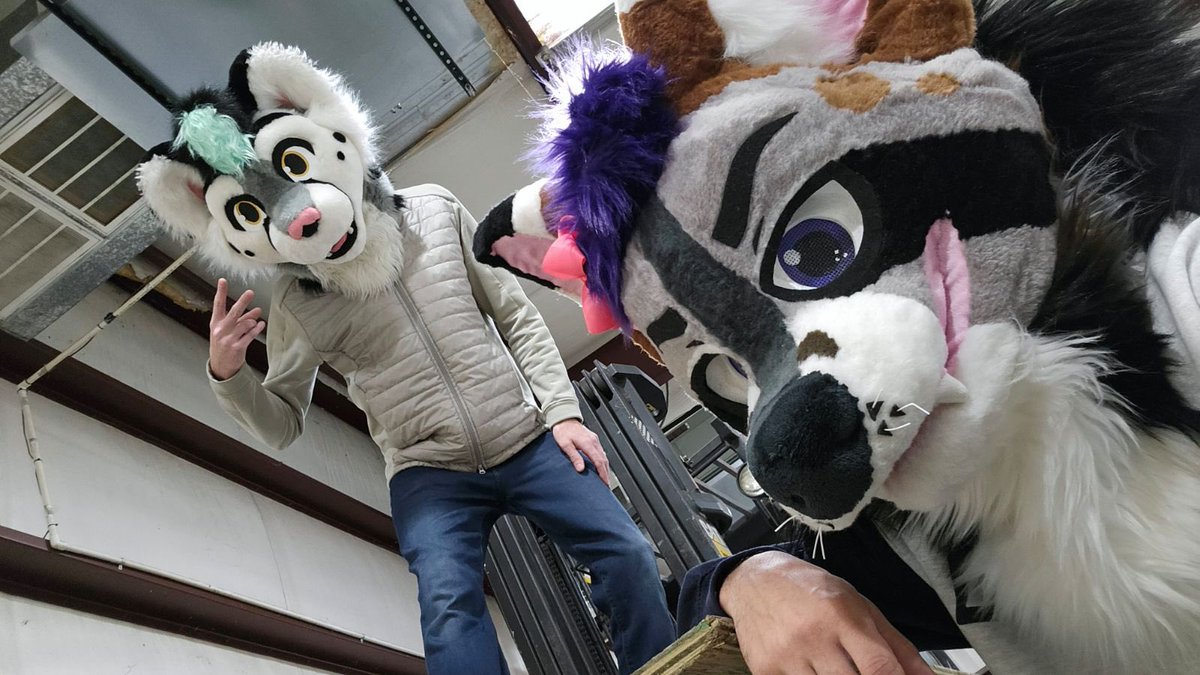 MintySnep's tweet photo. Up to no good this #FursuitFriday https://t.co/Vdo1oRdnsZ