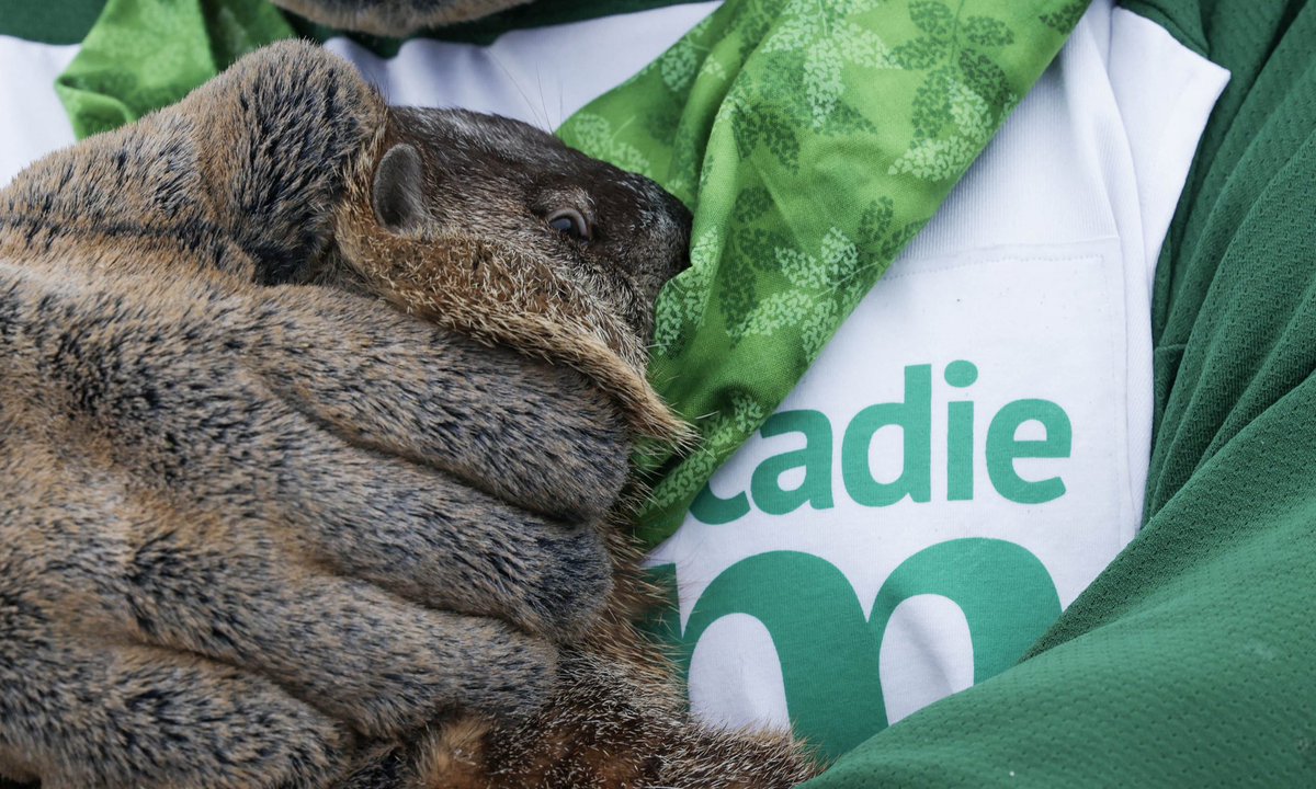 nsgov's tweet photo. Despite this weekend's forecast, we might be able to pack away the shovels early this year. Shubenacadie Wildlife Park’s popular groundhog, Shubenacadie Sam, didn't see her shadow this morning. https://t.co/J00Q0jE1ct