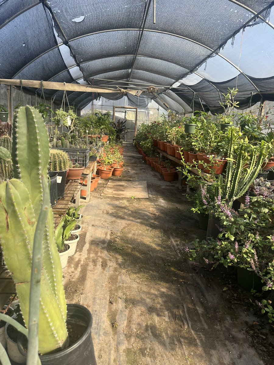 verodsmile's tweet photo. Dropping this here on a Friday!
Happy Friday..growing food changes lives! 
@biggreen @BigGreenDAO https://t.co/NwyCMwMXql