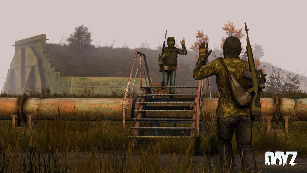 DayZ 🖥 🎮 ❤️ tweet media