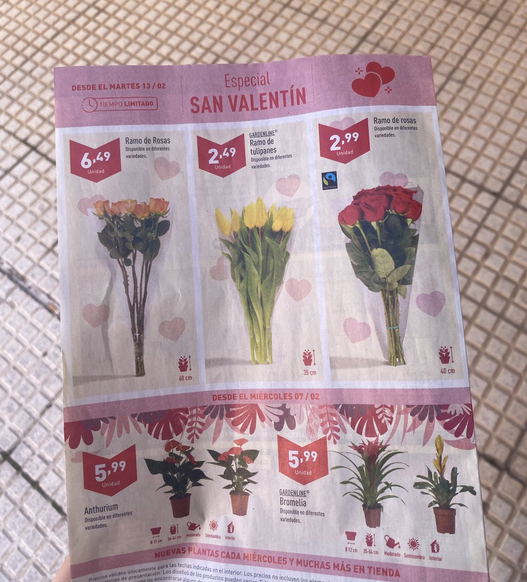 lauraddiaazz's tweet photo. en el Aldi chicos https://t.co/uIvjCj31n6