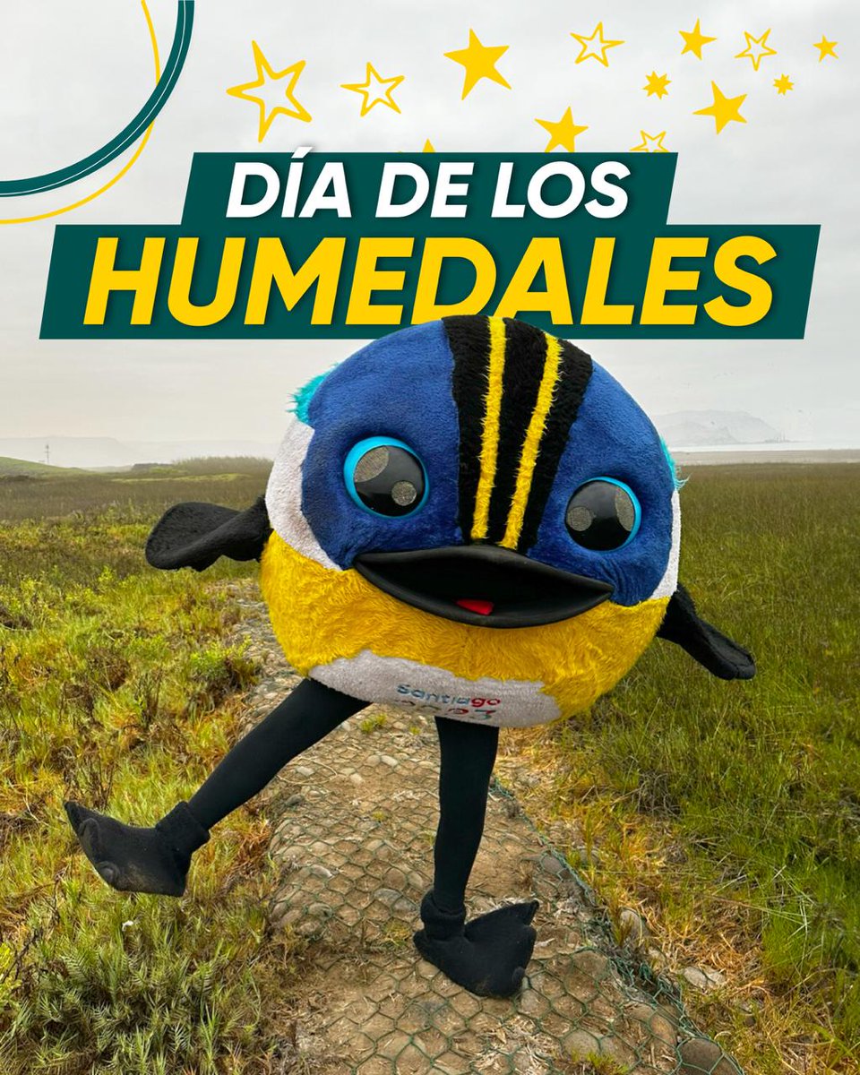 santiago2023's tweet image. 🙌🏽🌾 ¡DÍA DEL FIUMEDAL! 🤩

☑️ Como cada 2 de febrero, se conmemora el Día Mundial de los Humedales, con el fin de crear conciencia de la vital importancia de estos ecosistemas para la humanidad, el planeta y por supuesto, nosotros, ¡su fauna local!

¡Conócelos, aprende de ellos…