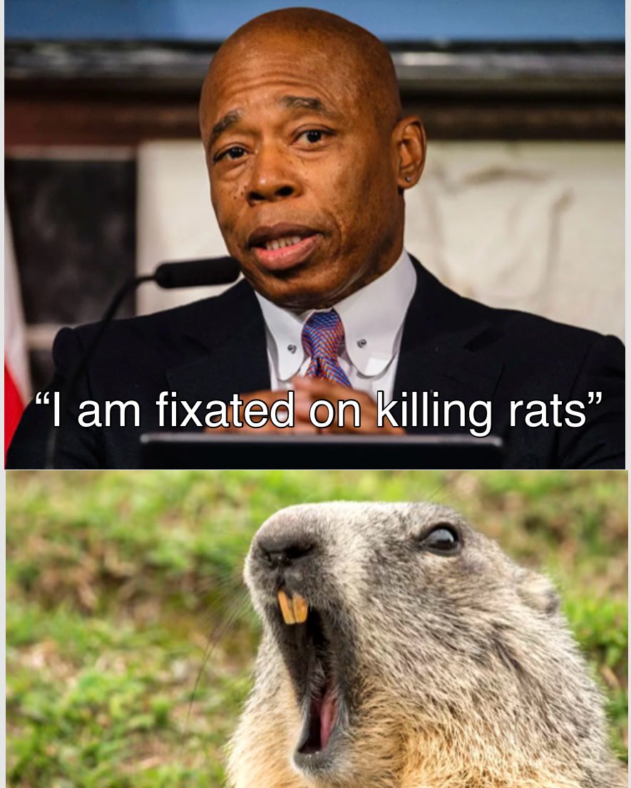 katewinick's tweet photo. 3 Groundhog Days as mayor and not once has Eric Adams shown up to do his annual penance to our furry overlord. FACE THE RODENT YOU COWARD https://t.co/6G7hUnbC52