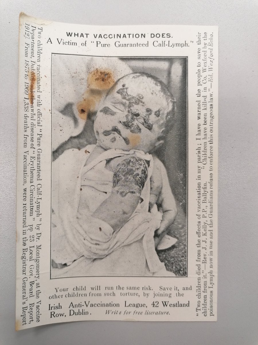 Epidemic Belfast tweet media