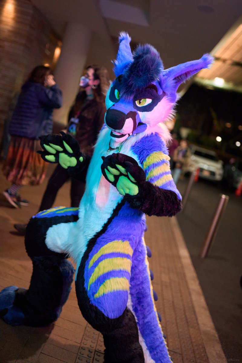 turbulence898's tweet photo. This #FursuitFriday we have my Freakhound self caught by the tubecrew! 

📸- @KalitheBirb https://t.co/A6V0eR9nl2
